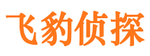 建华市私人侦探